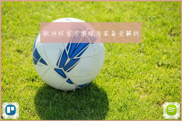 欧洲杯官方用球与装备全解析