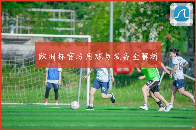 欧洲杯官方用球与装备全解析